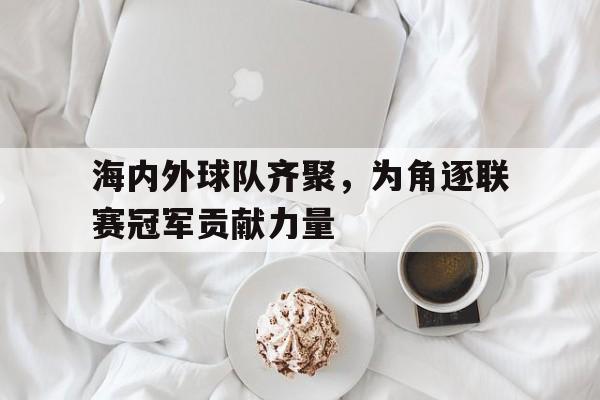 海内外球队齐聚，为角逐联赛冠军贡献力量