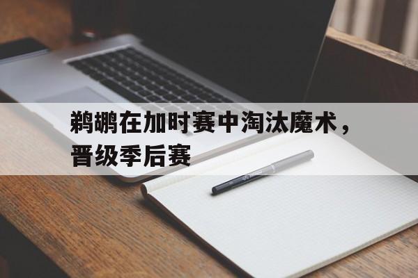 鹈鹕在加时赛中淘汰魔术，晋级季后赛